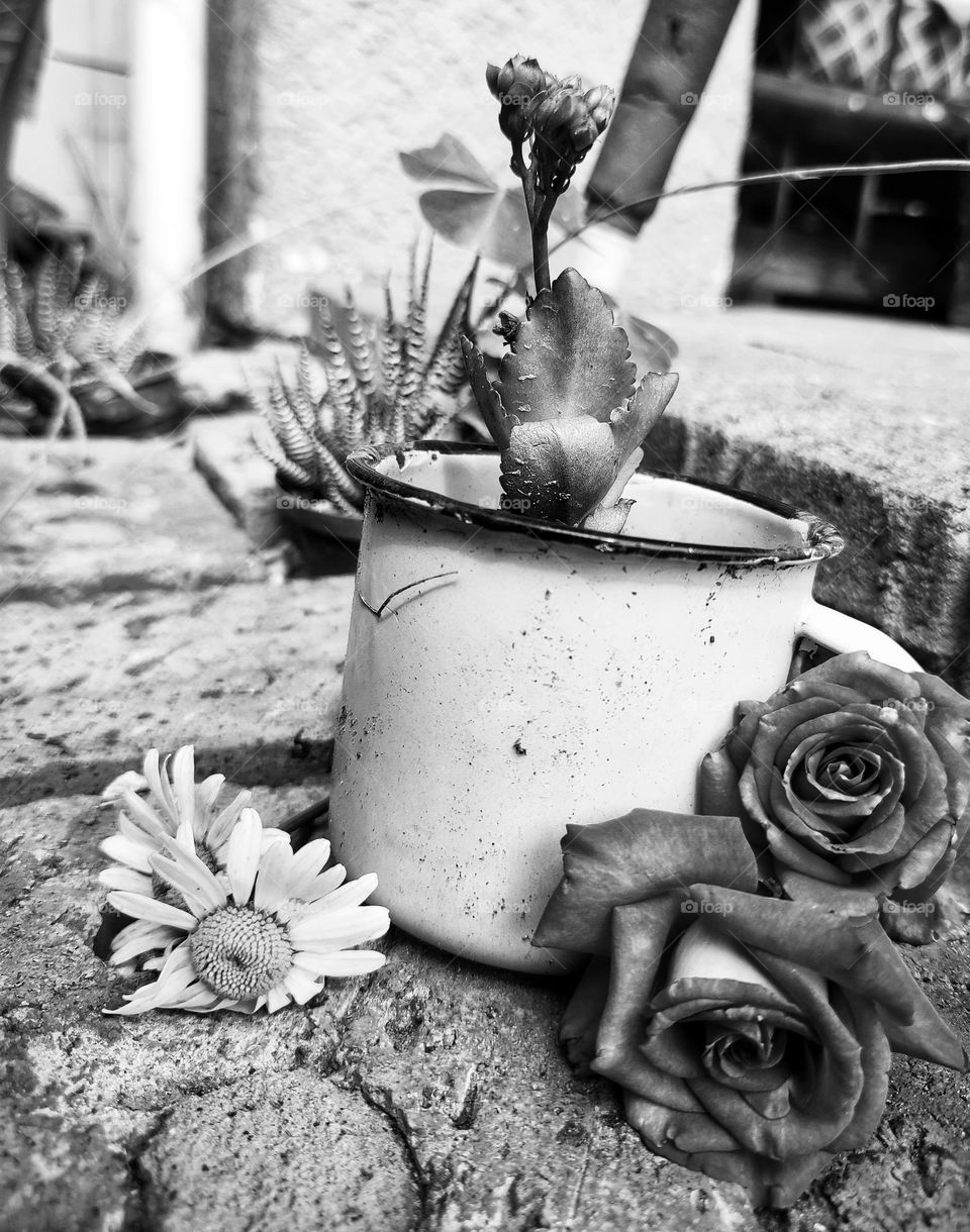 Tin cup with flowers