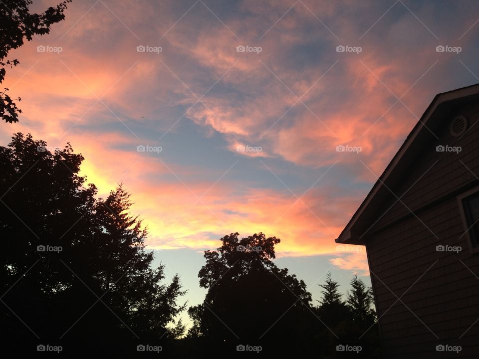Pink sky. Pink sky at sunset 