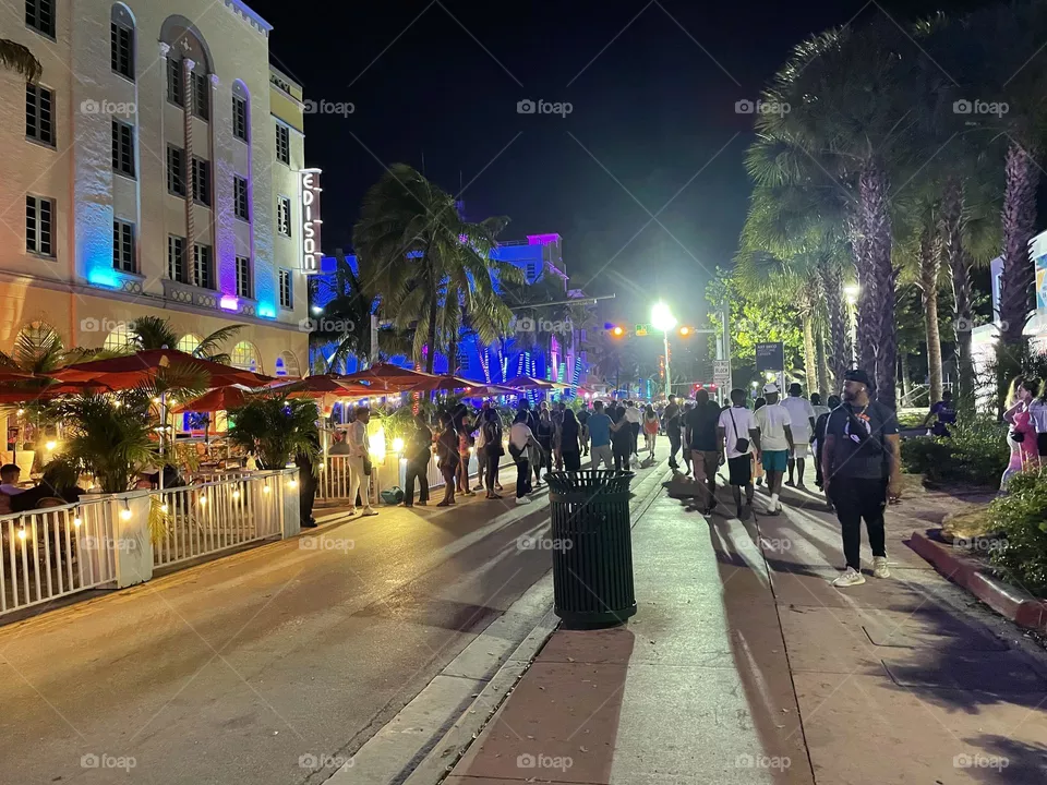 Miami nights 