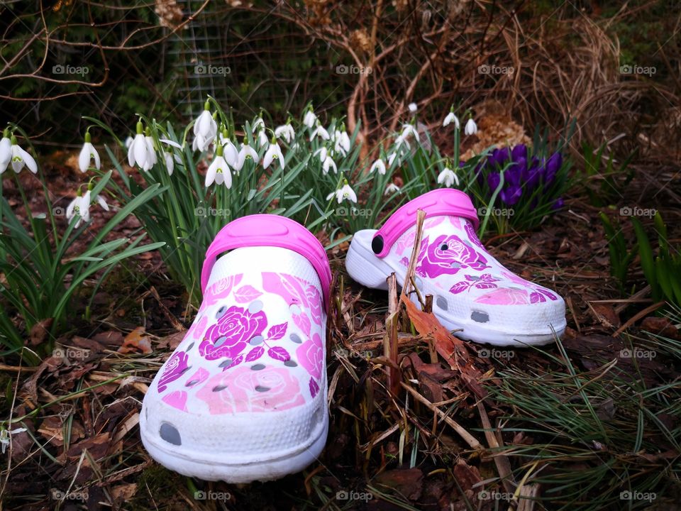 Garden shoes. Spring flowers. Poland