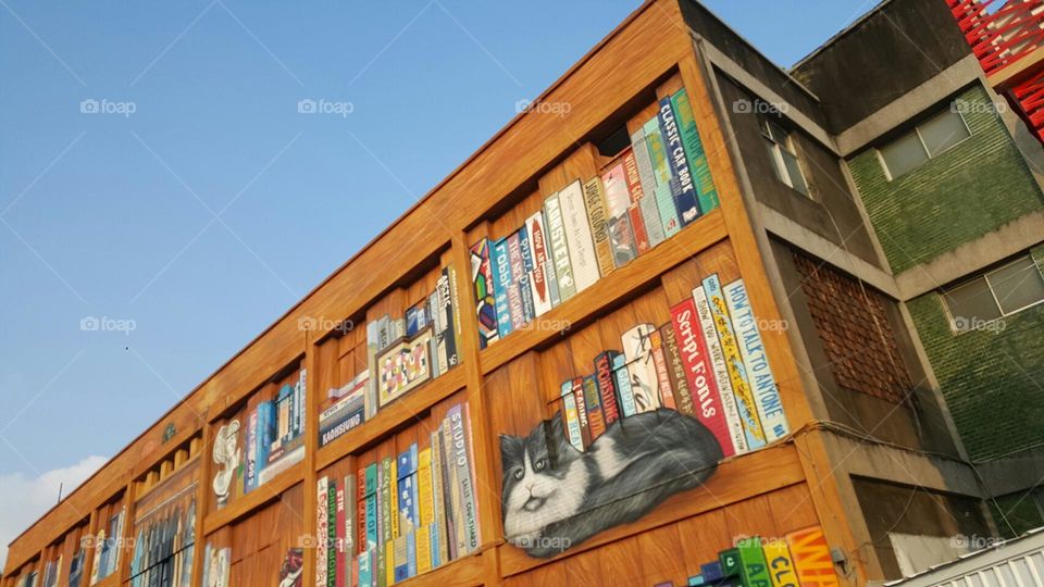 There are murals on the building, the murals are images of bookshelves