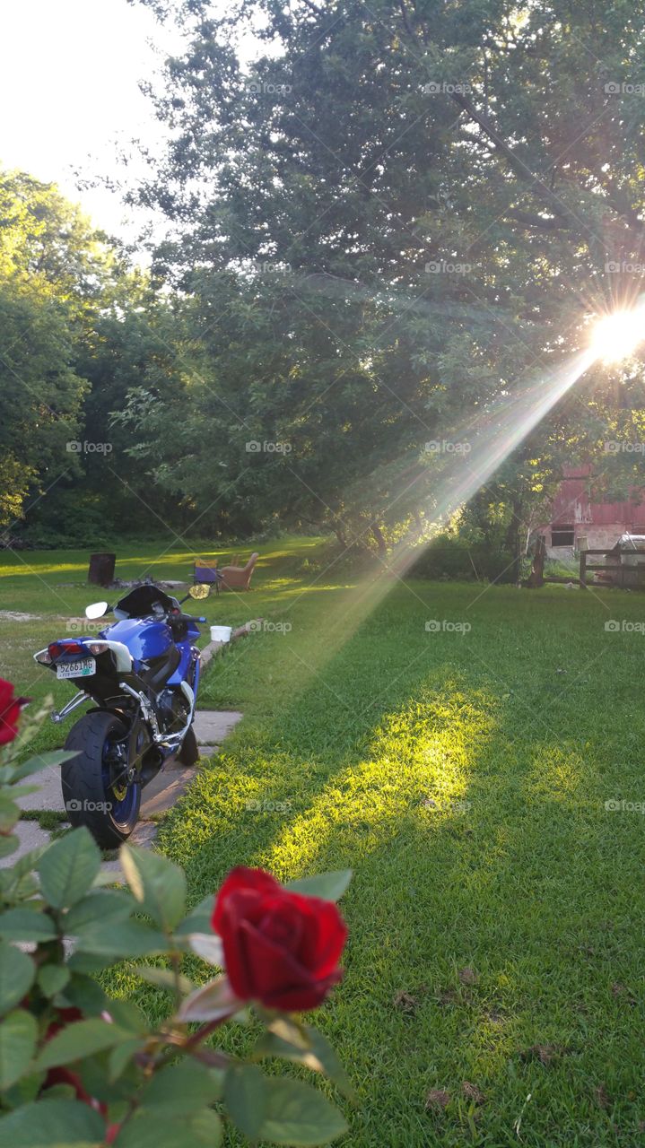 a good day for riding the wind