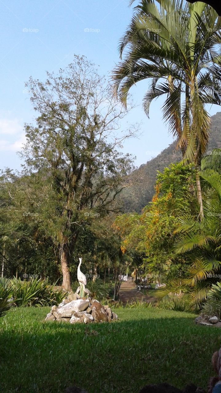 NATURAL NATURE GARTEN PLANTS