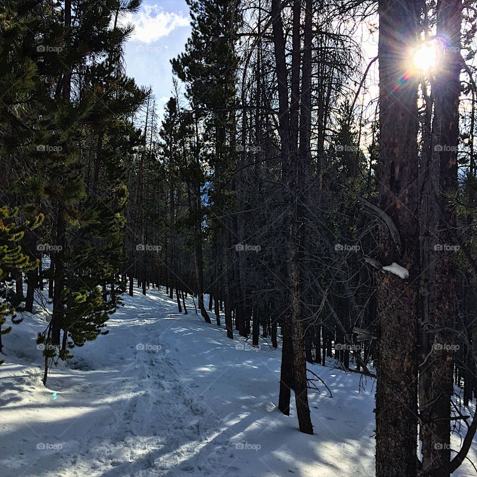 The sun is following me. 