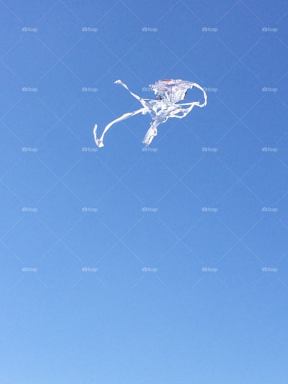 Skeleton kite Kenosha Wisconsin 