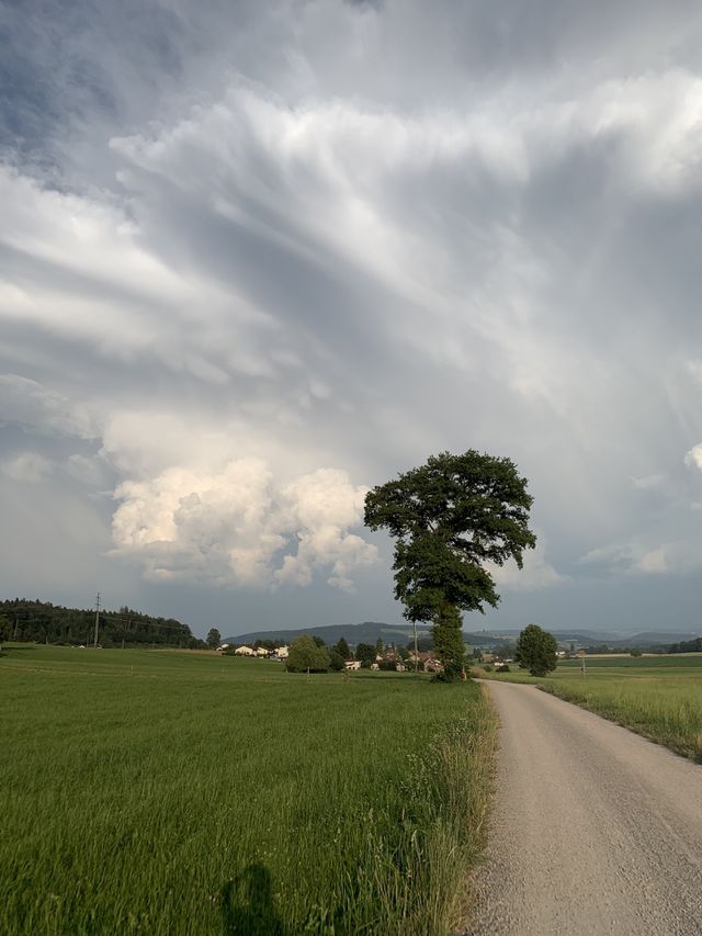 Switzerland 