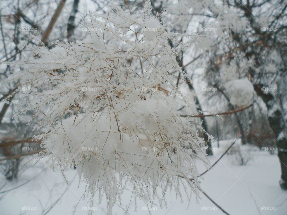 air snow on the branches of a tree