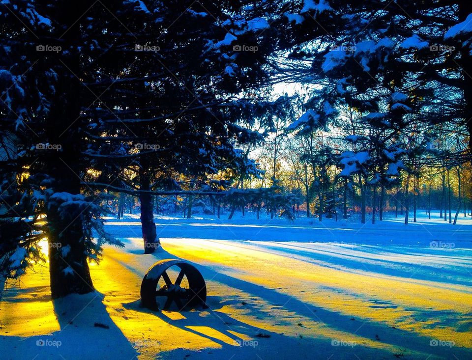 Sunset on the snow