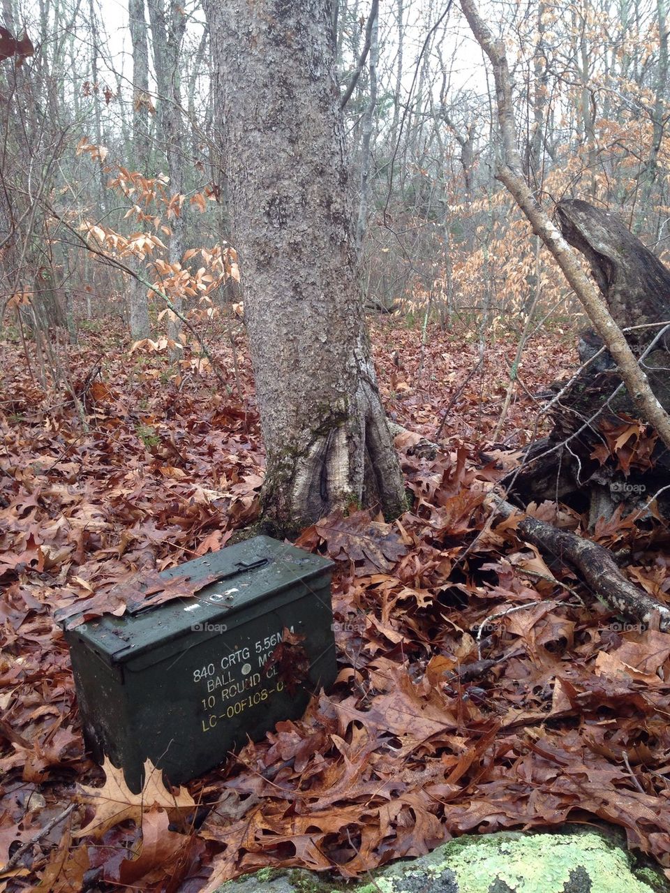 Ammo Box in Woods