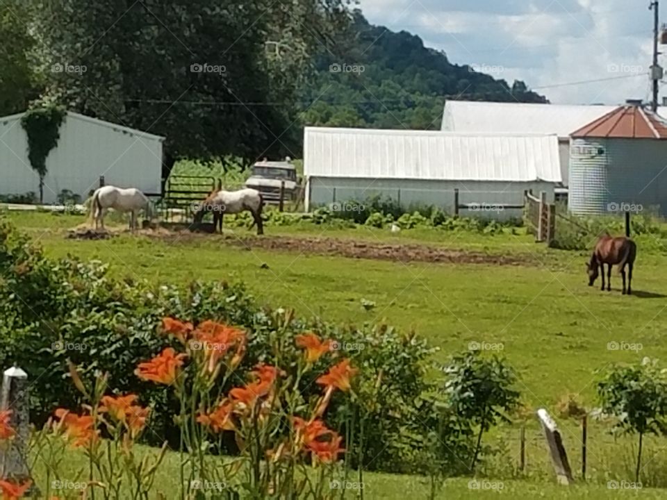 Driving the Back Roads and enjoying everything around us