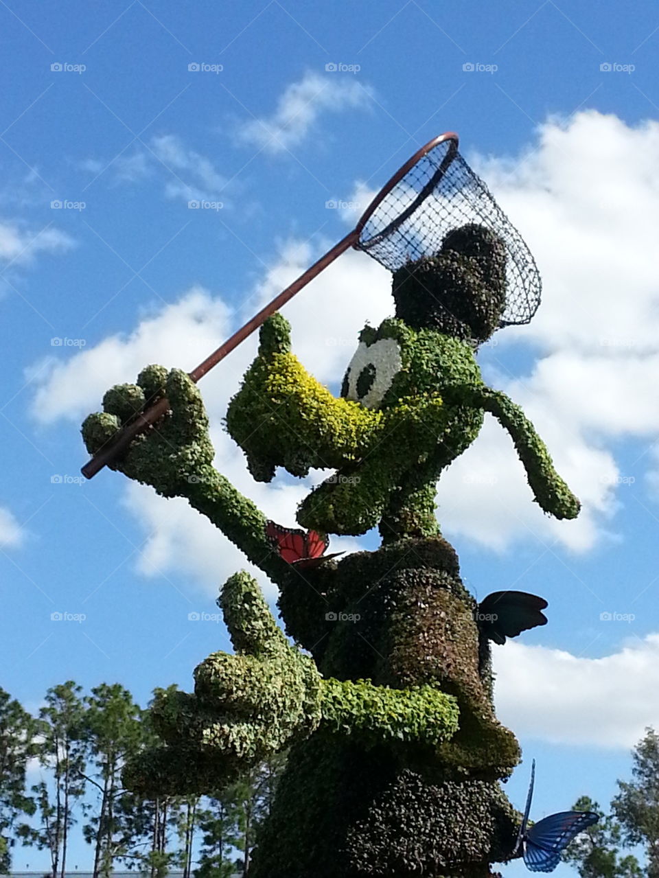 Goofy Topiary catching Butterfly