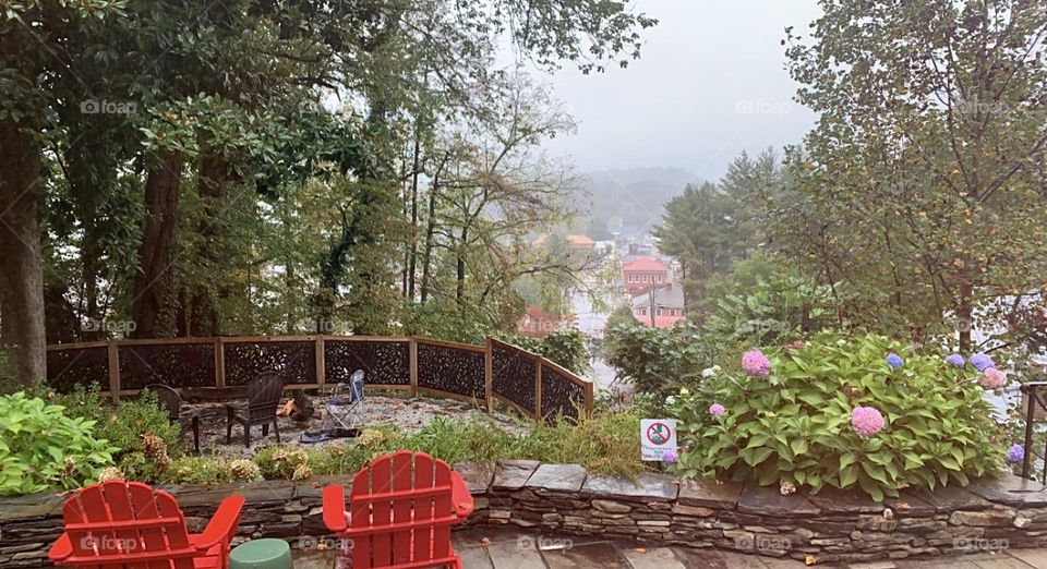 Relaxing view from inside the living room of my airbnb.