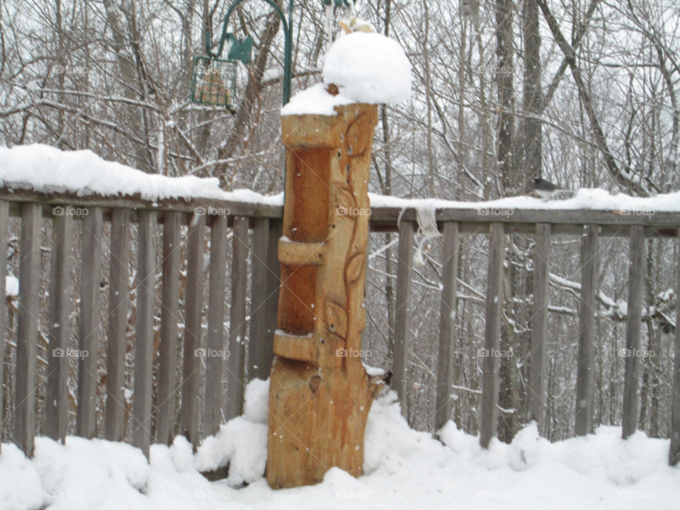 snow winter birds scene by ashley77