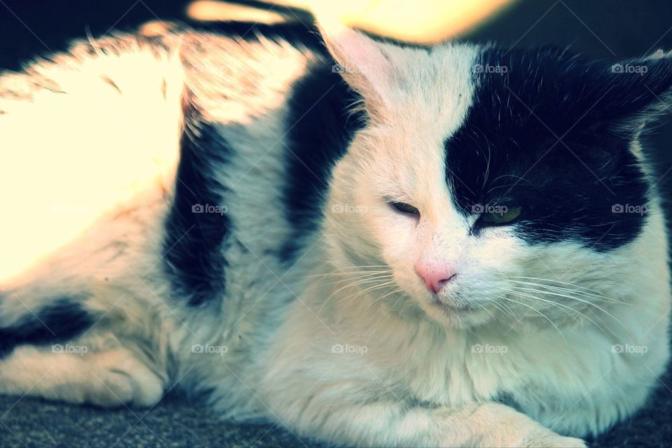 An afternoon in the shade