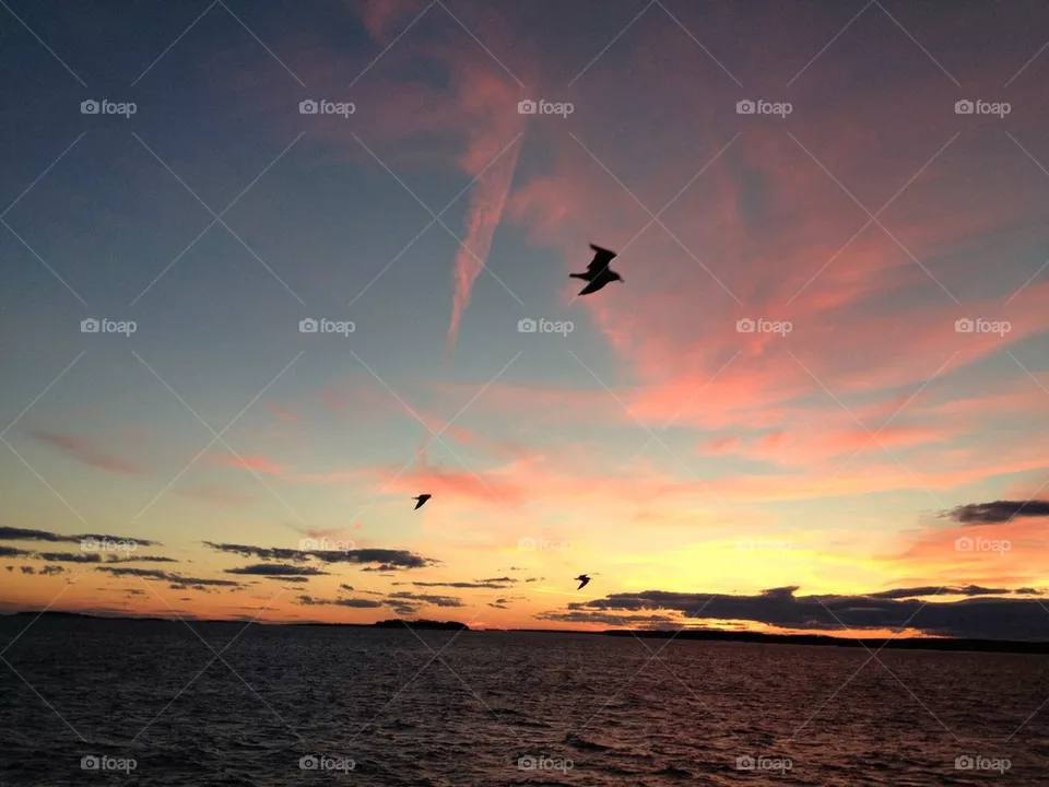 Flight