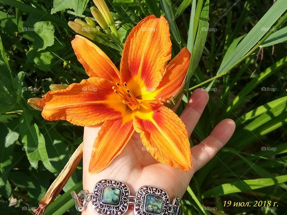 природа,лилия цветы украшения браслет оранжевый зеленый