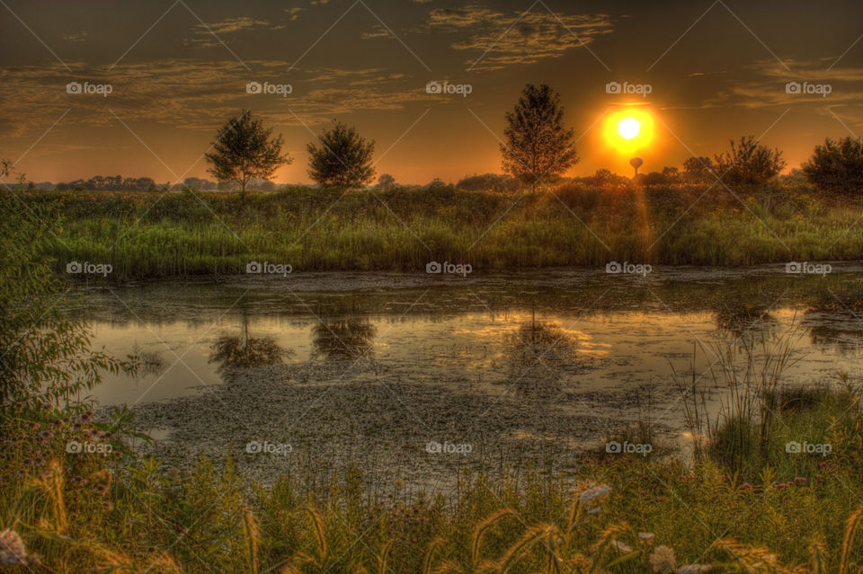 Sunset on the Prairie. Summer sunset over a grassy prairie in Illinois.