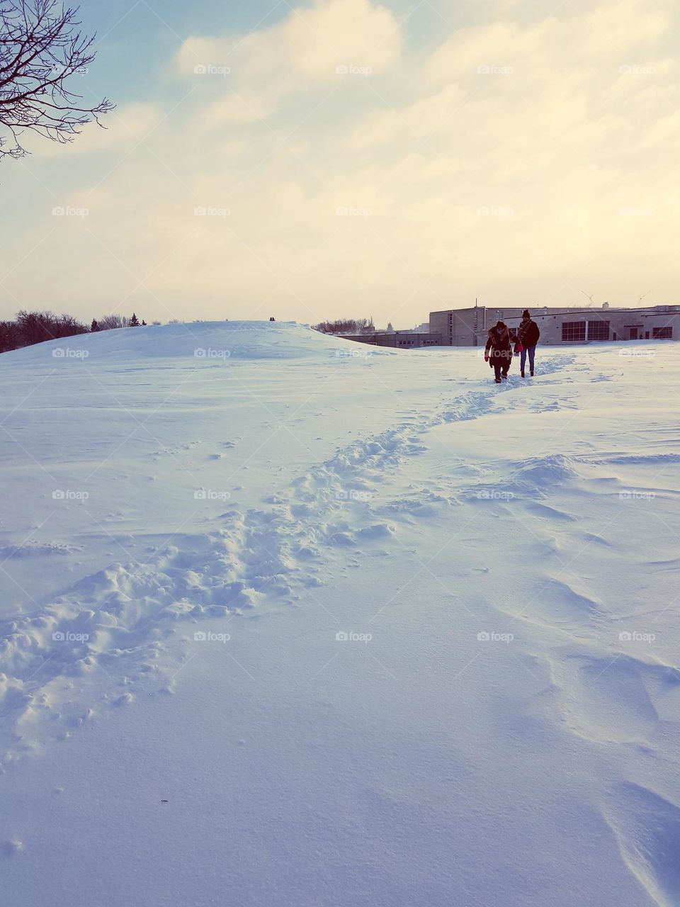 cold winter walk