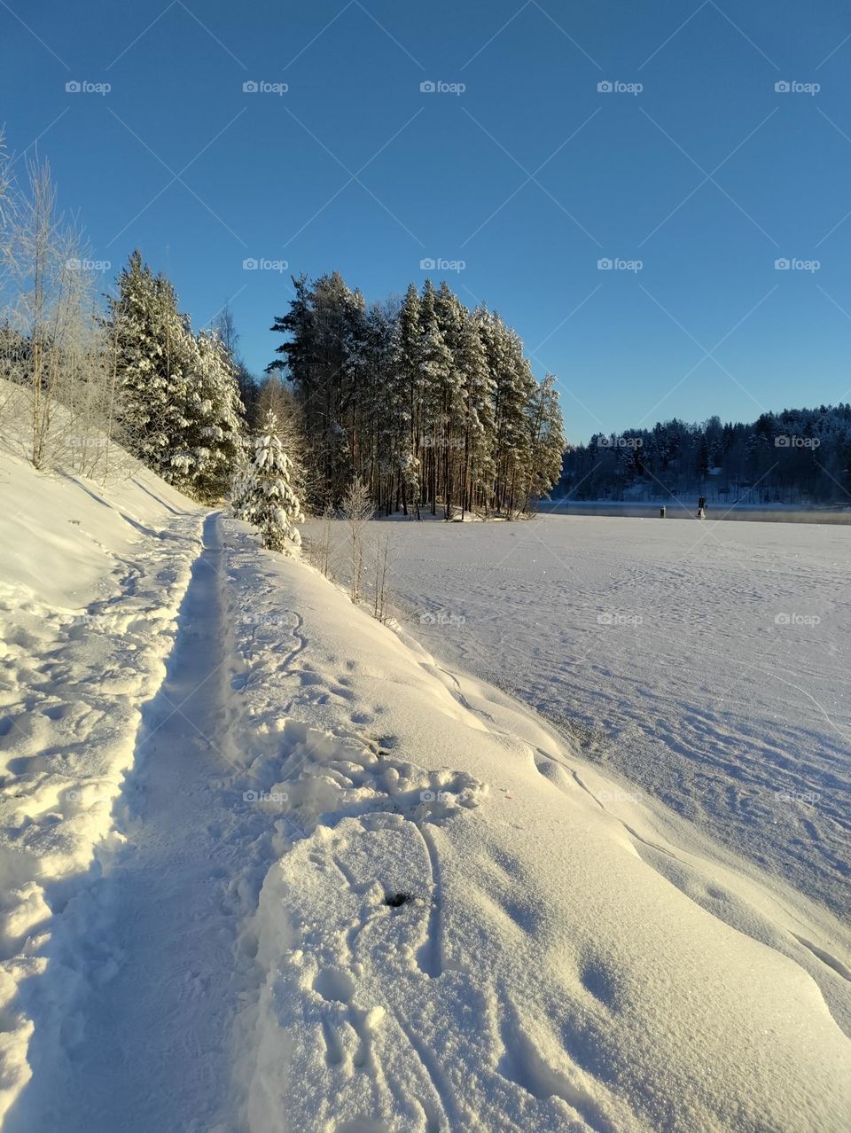 path in snow