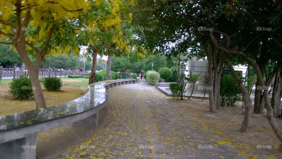 lake view Chandigarh