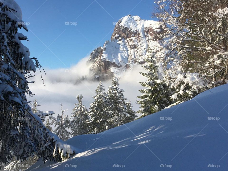 The mountains were covered with snow, the surrounding trees also covered the branches with snow, the sky is light blue, have sunny. There are many white clouds surrounding the top of mountain