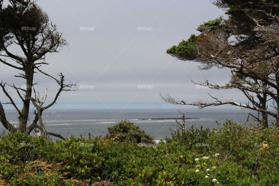 Scenic view of sea