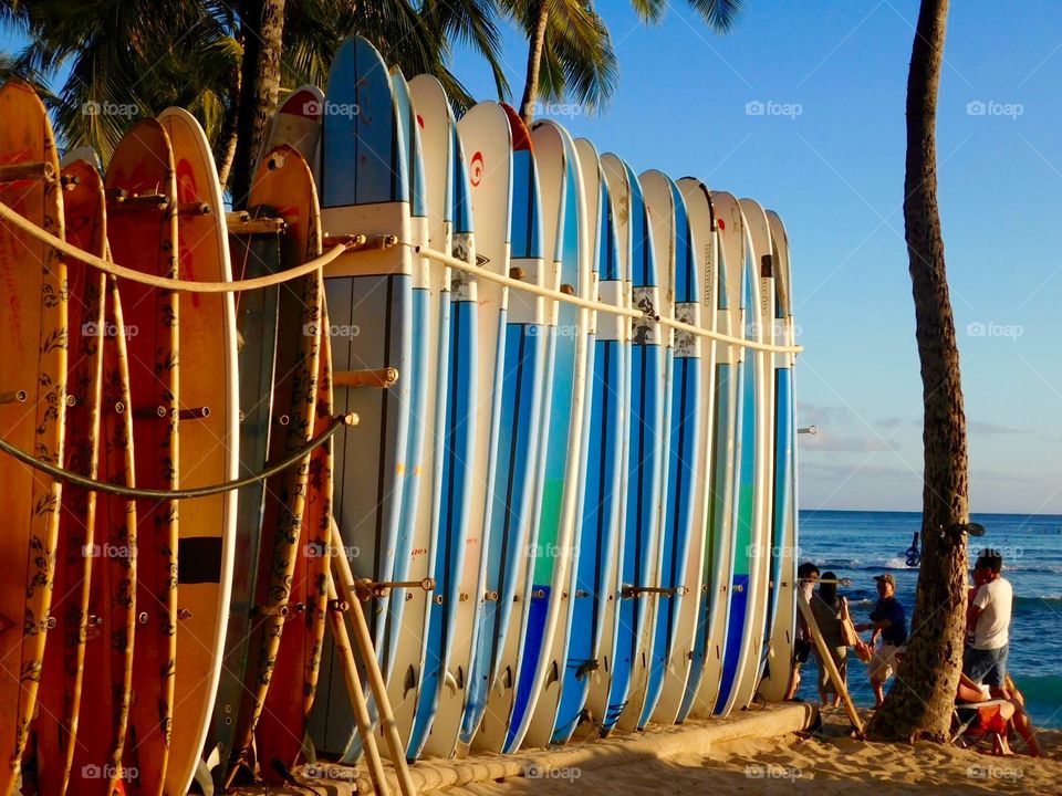 Waikiki Beach Surf