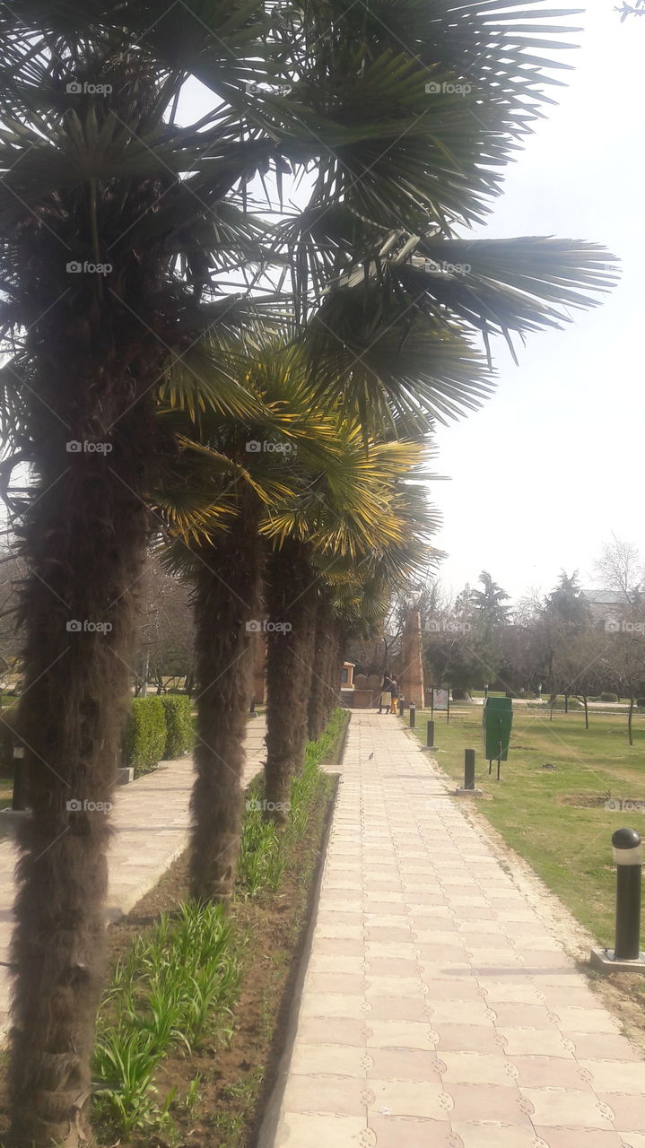 Beatiful Photos of Kashmir India in different Seaons