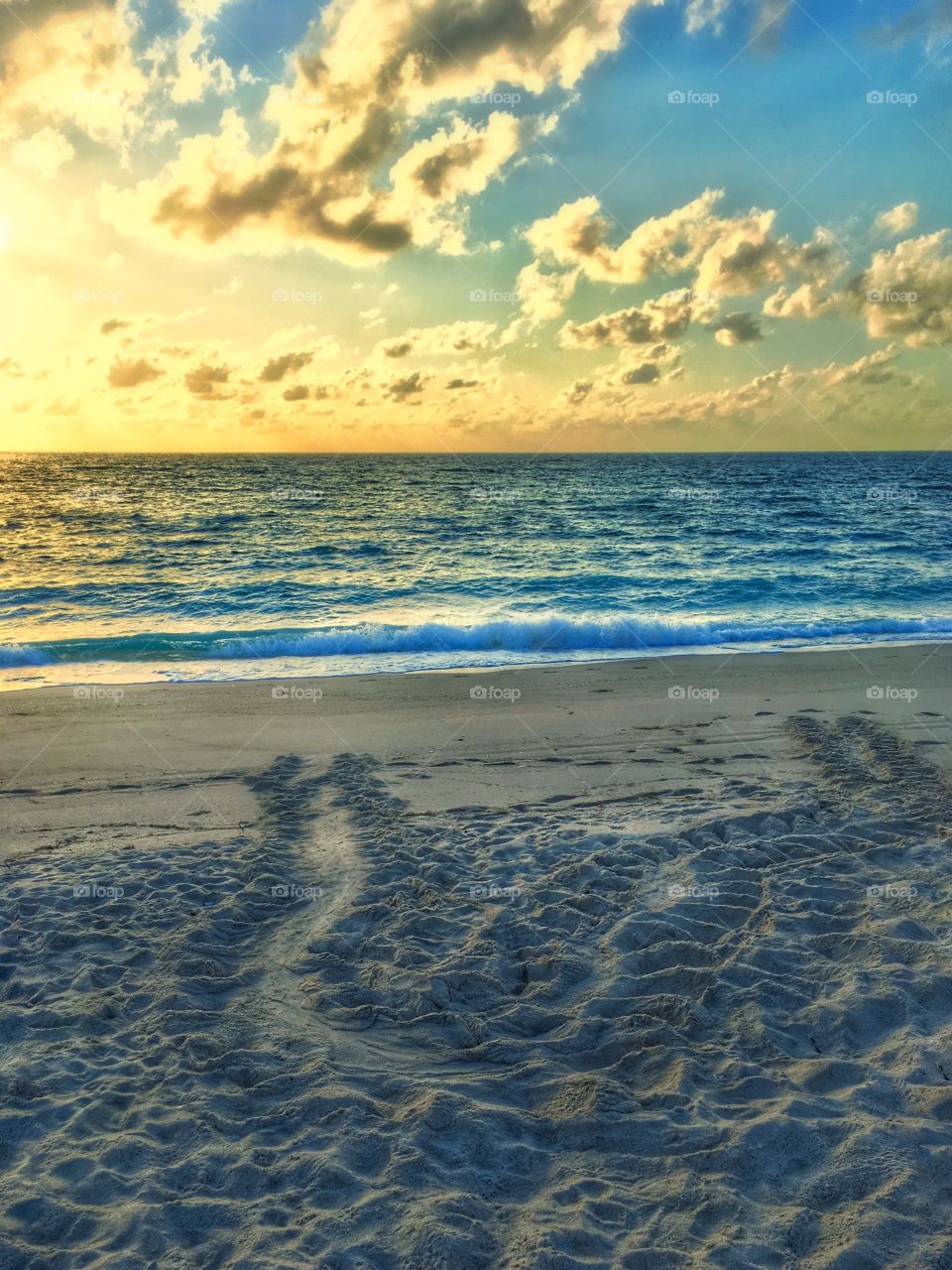 Sunset over the beach