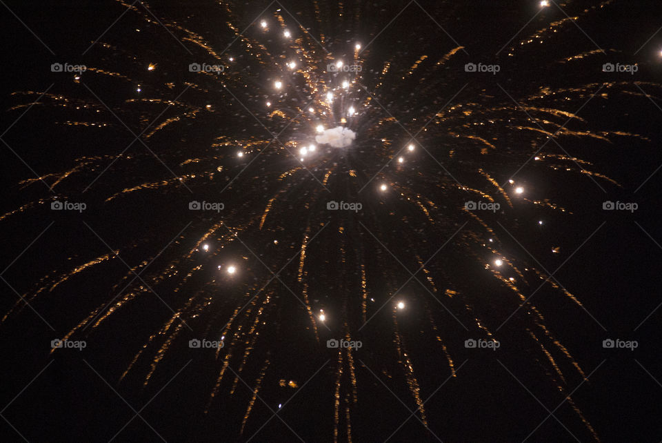 Fireworks in the sky, joy to the eye, short lived, eternally alive.