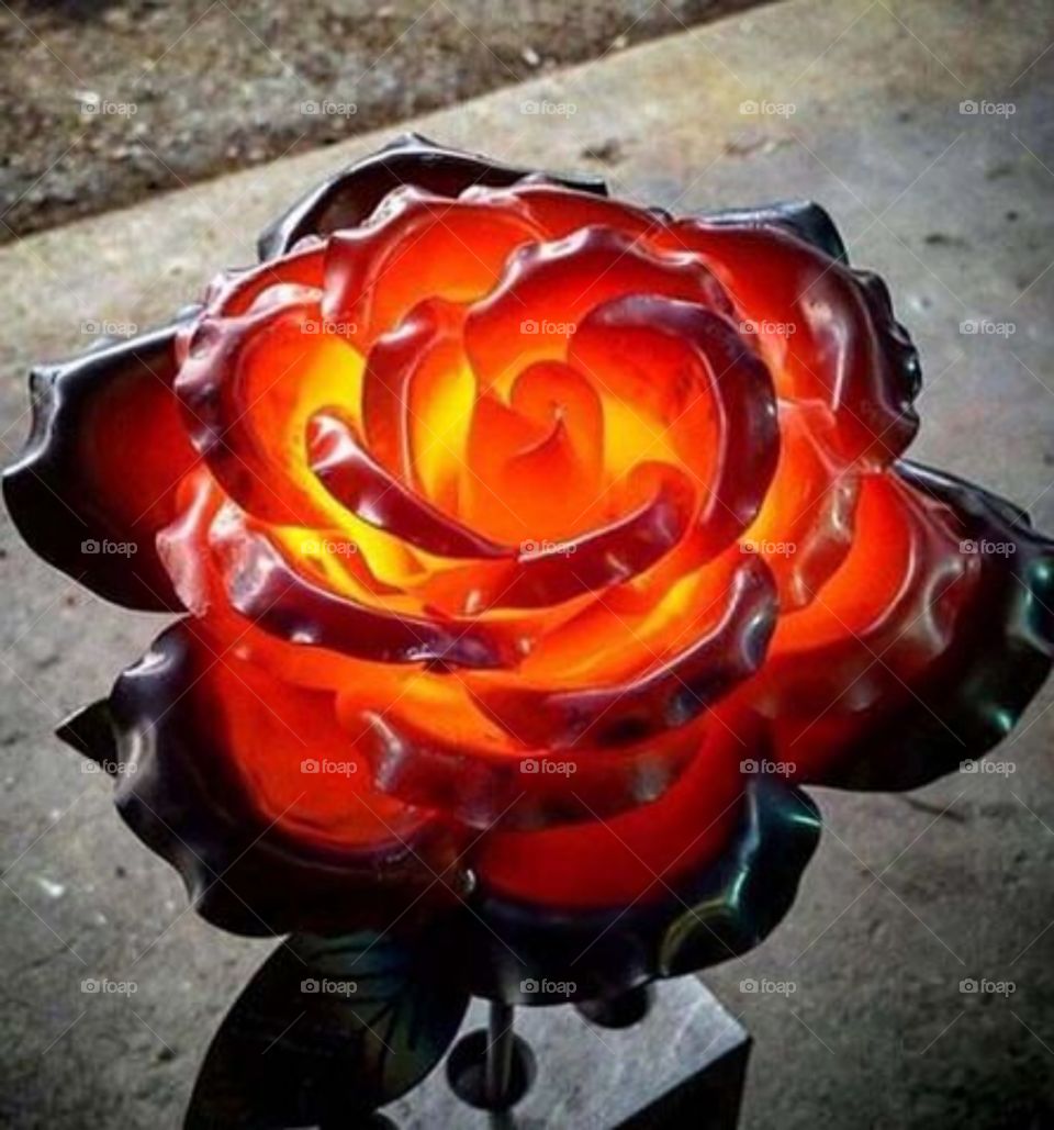 Горячая роза любви❤️