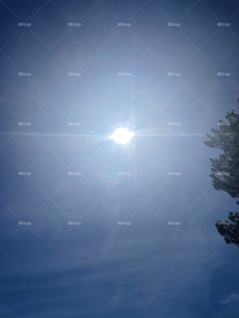 Lovely sun blessings!!!💙