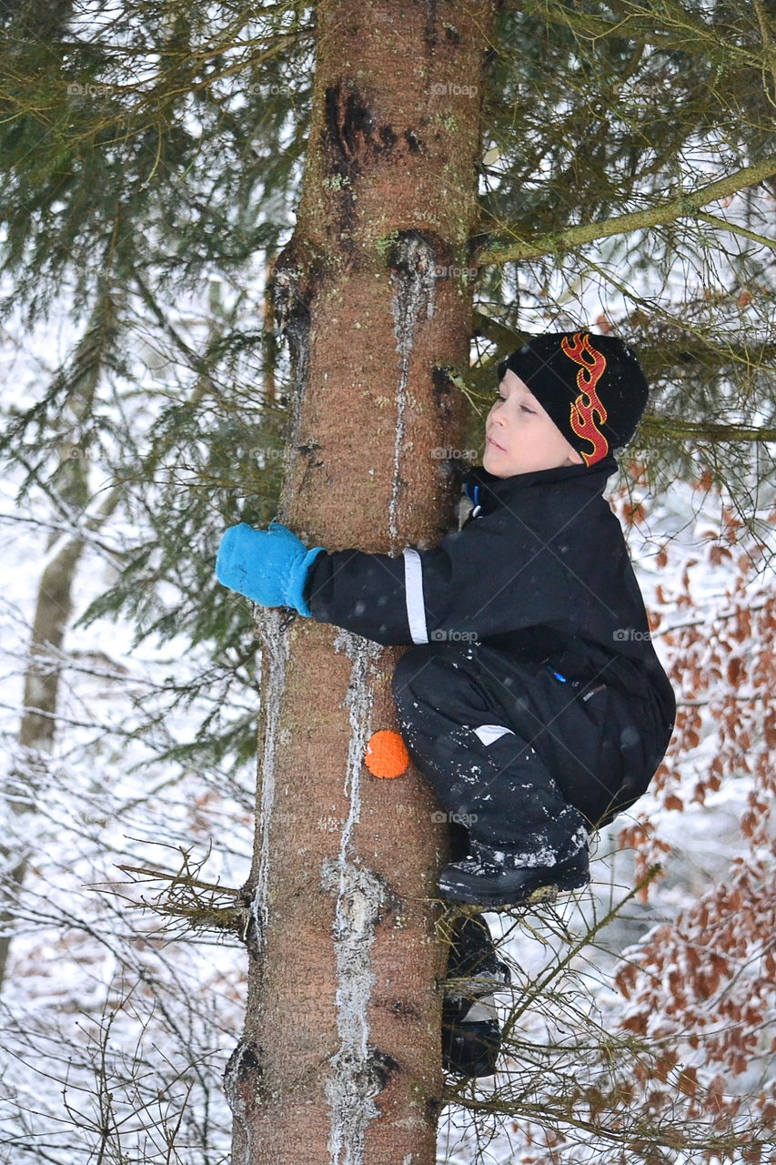 Boy climbing a tree