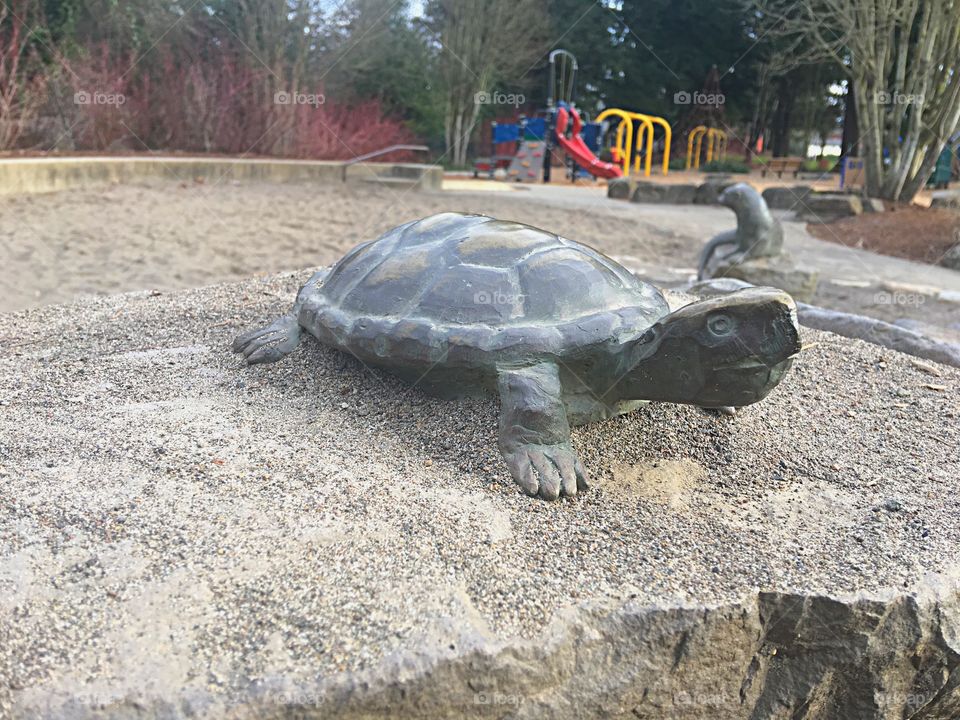 Mr. turtle reaches out towards the sandbox with a playground in the background in a suburban park in Portland Oregon