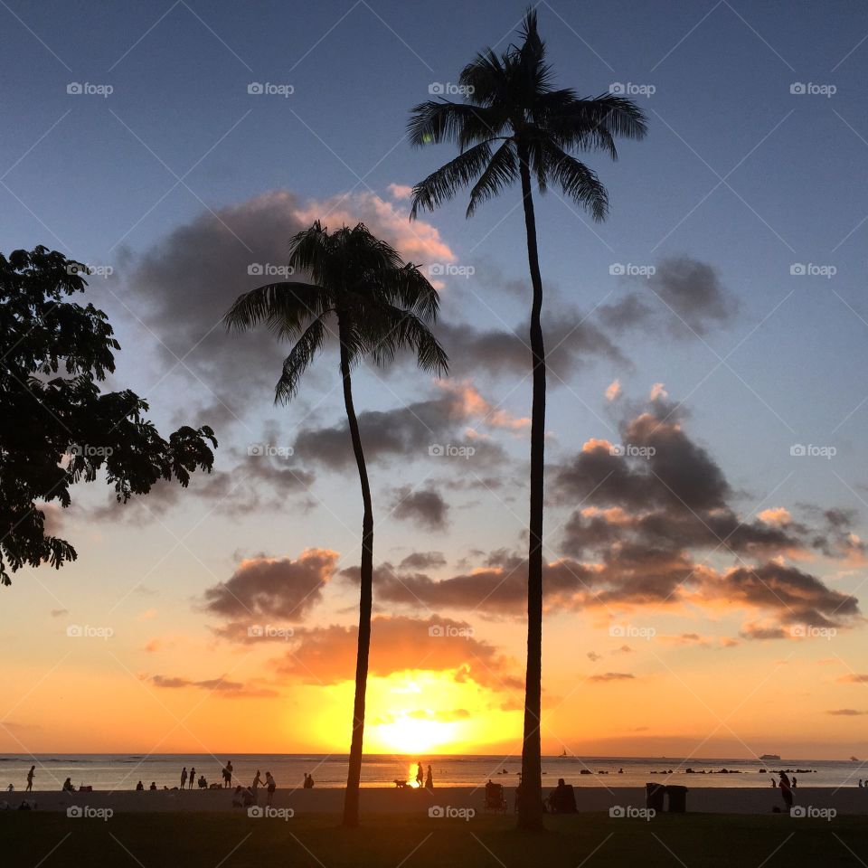 Hawaiian sunset on the beach