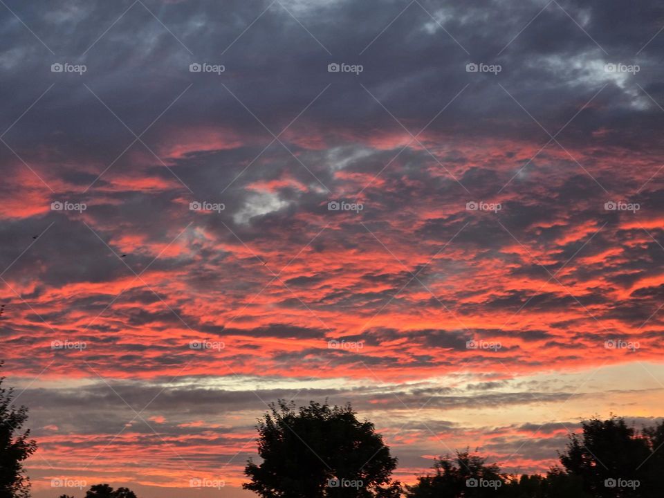 Tree surrounded by colorful clouds