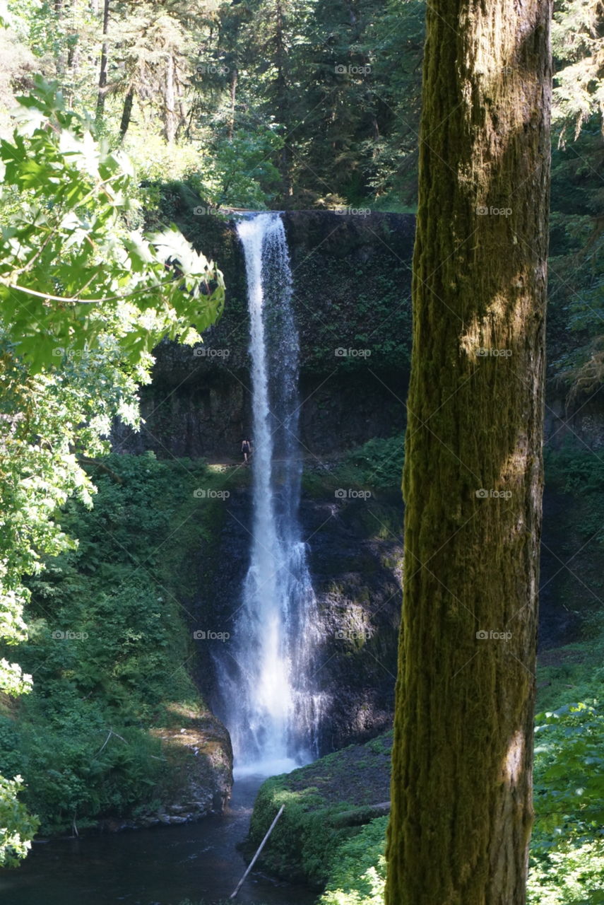 Waterfall. Silver creek falls