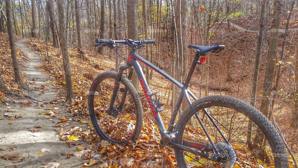 mountain bike trail in the fall