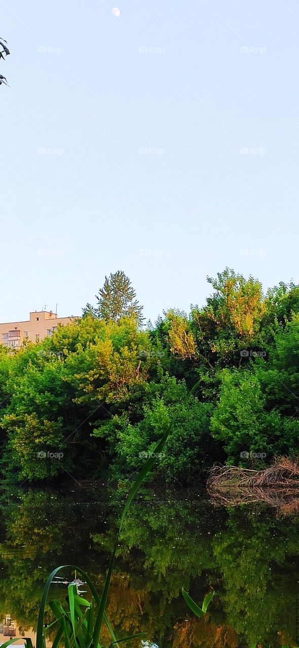 editors Choice photo on the week