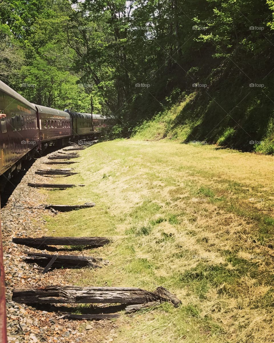 Smoky Mountain Railway