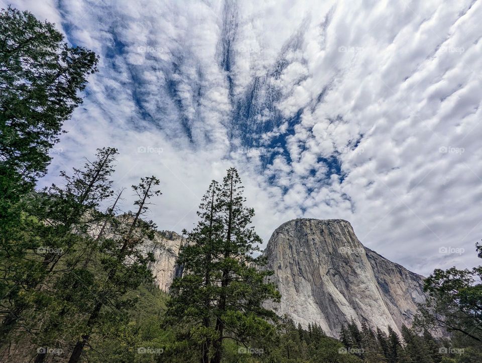 Epic mountains with beautiful cloud patterns on a sunny summer day. Surrounded by pine trees. A view in Yosemite Valley of El Capitan.