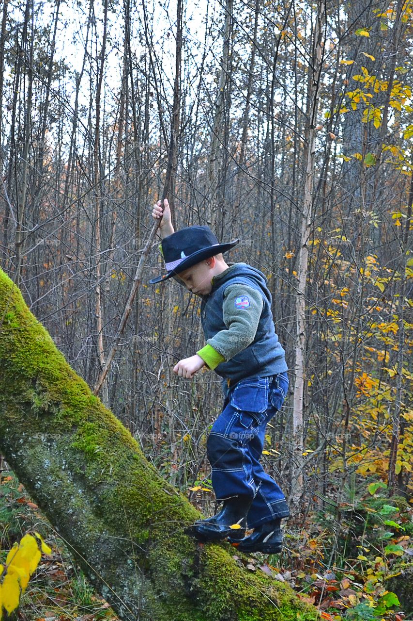 Boy climb a tree