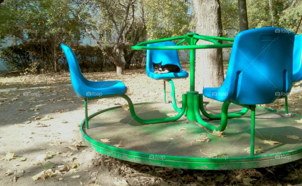 Summer, Chair, Seat, No Person, Nature