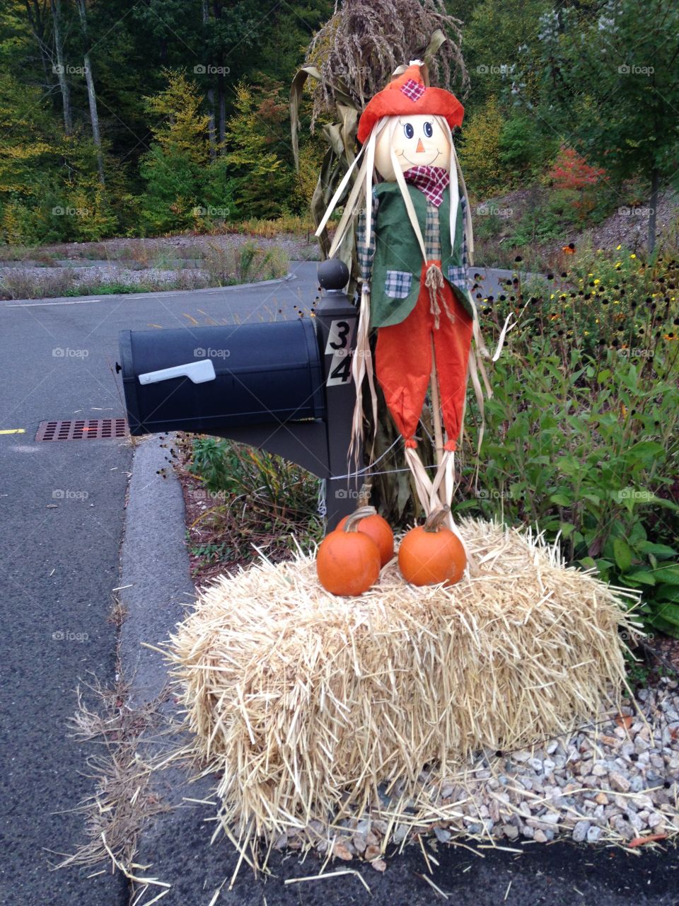Happy Halloween mailman