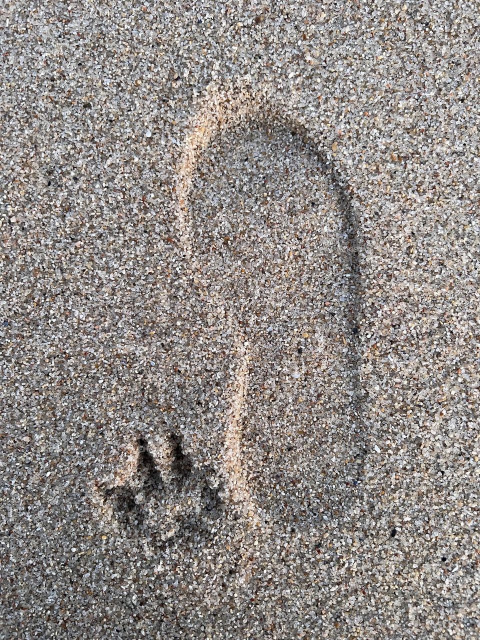 Footprint of pet and owner