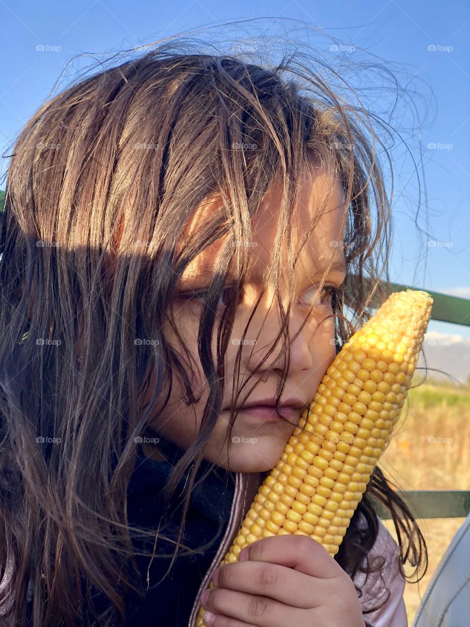 Pumpkin patch and corn fields