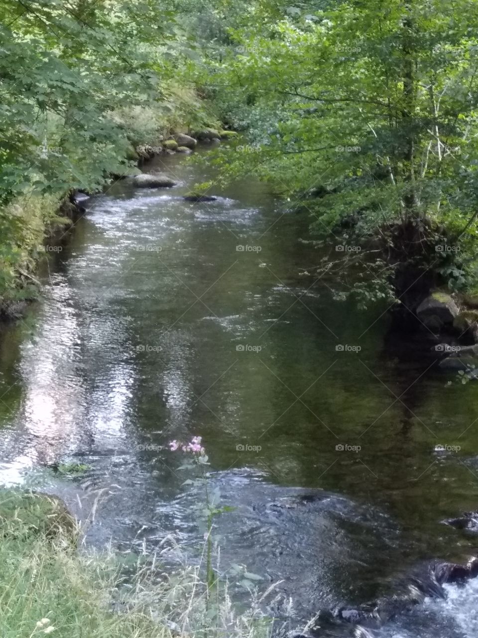 Kurpark in Bad Wildbad