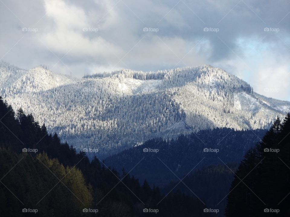 Mountains covered with snow and trees