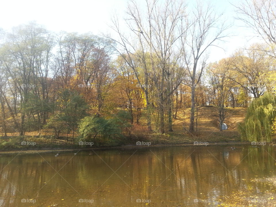 Autumn lake 