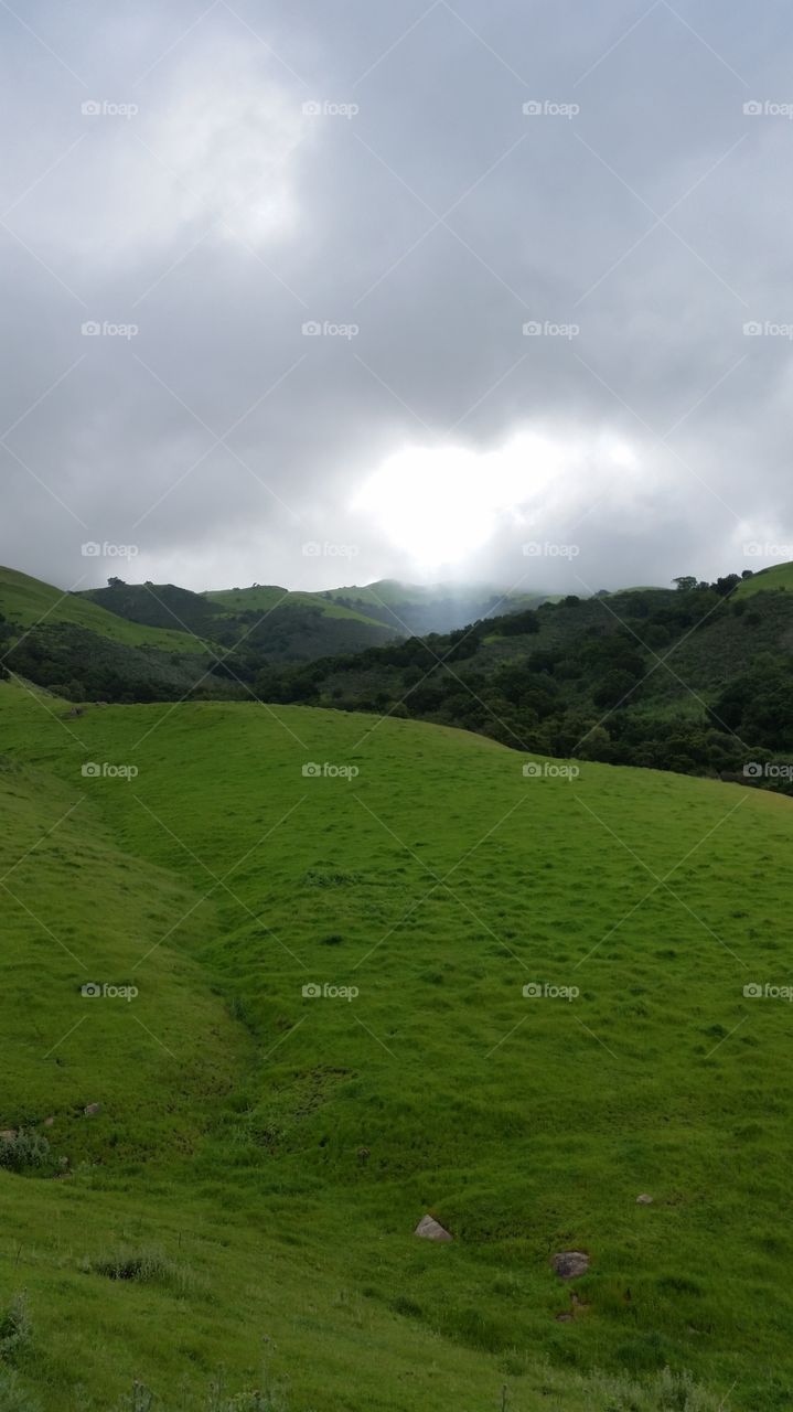 Light streaming through clouds, on lush green grassland, after rains